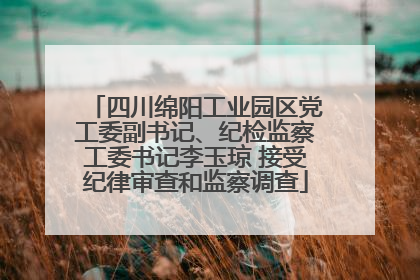 四川绵阳工业园区党工委副书记、纪检监察工委书记李玉琼 接受纪律审查和监察调查