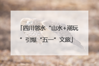 四川邻水“山水+潮玩”引爆“五一”文旅
