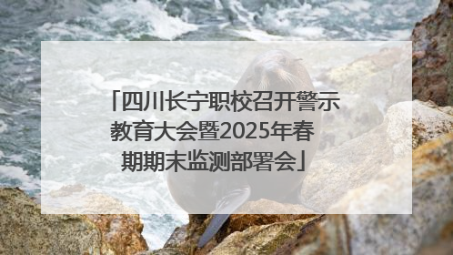 四川长宁职校召开警示教育大会暨2025年春期期末监测部署会