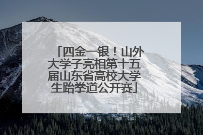 四金一银！山外大学子亮相第十五届山东省高校大学生跆拳道公开赛