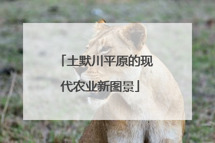 土默川平原的现代农业新图景