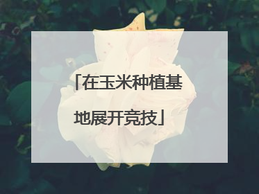 在玉米种植基地展开竞技
