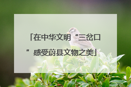 在中华文明“三岔口”感受蔚县文物之美