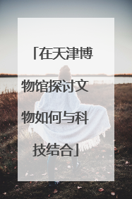 在天津博物馆探讨文物如何与科技结合