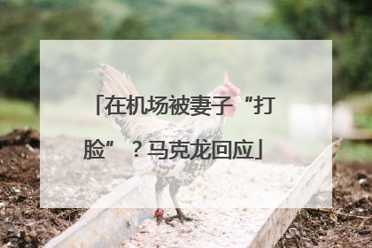 在机场被妻子“打脸”？马克龙回应