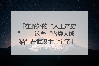 在野外的“人工产房”上，这些“鸟类大熊猫”在武汉生宝宝了