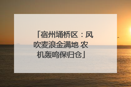 宿州埇桥区：风吹麦浪金满地 农机轰鸣保归仓