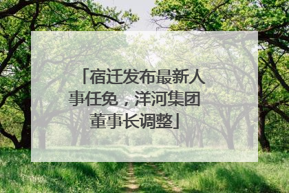 宿迁发布最新人事任免，洋河集团董事长调整