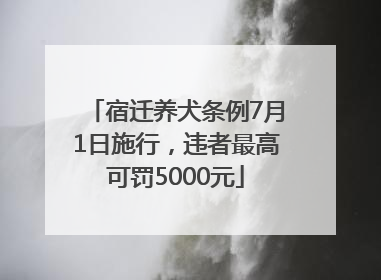 宿迁养犬条例7月1日施行，违者最高可罚5000元