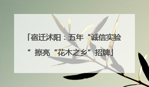 宿迁沭阳：五年“诚信实验”擦亮“花木之乡”招牌