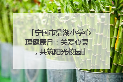 宁国市鼎湖小学心理健康月：关爱心灵，共筑阳光校园
