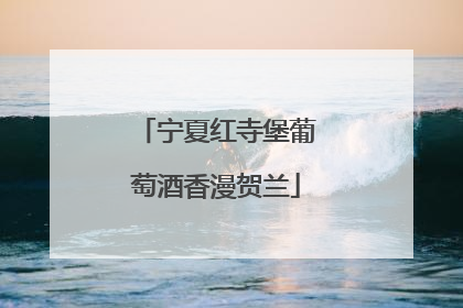 宁夏红寺堡葡萄酒香漫贺兰