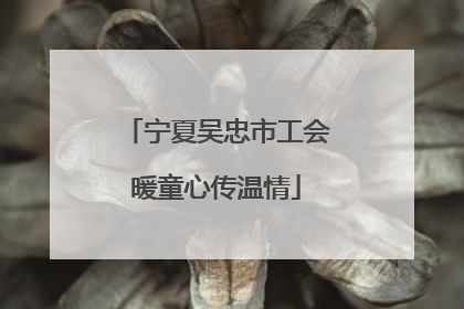宁夏吴忠市工会暖童心传温情