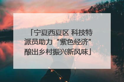 宁夏西夏区 科技特派员助力“紫色经济”酿出乡村振兴新风味