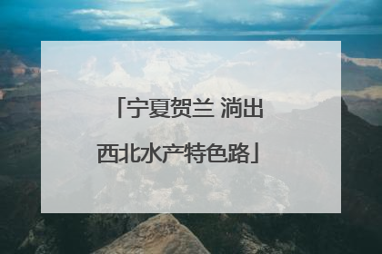 宁夏贺兰 淌出西北水产特色路