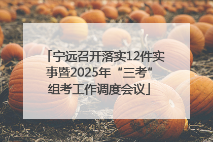 宁远召开落实12件实事暨2025年“三考”组考工作调度会议
