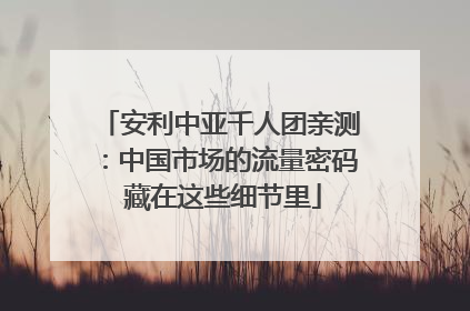 安利中亚千人团亲测：中国市场的流量密码 藏在这些细节里