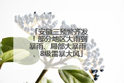 安徽三预警齐发！部分地区大雨到暴雨、局部大暴雨、8级雷暴大风