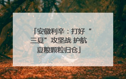 安徽利辛：打好“三夏”攻坚战 护航夏粮颗粒归仓