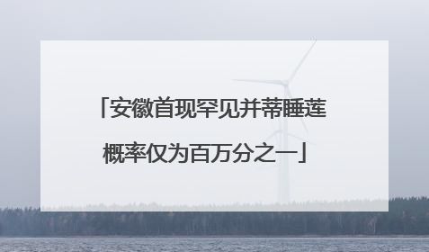 安徽首现罕见并蒂睡莲 概率仅为百万分之一
