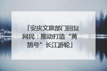 安庆文旅部门回复网民：推动打造“黄鹄号”长江游轮