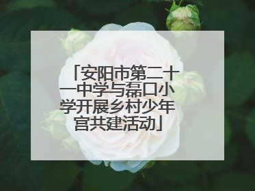安阳市第二十一中学与磊口小学开展乡村少年宫共建活动