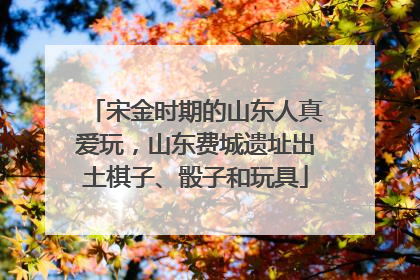 宋金时期的山东人真爱玩，山东费城遗址出土棋子、骰子和玩具