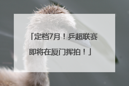 定档7月！乒超联赛即将在厦门挥拍！