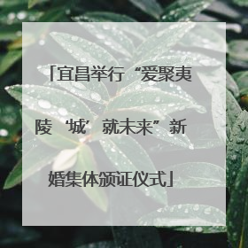 宜昌举行“爱聚夷陵‘城’就未来”新婚集体颁证仪式