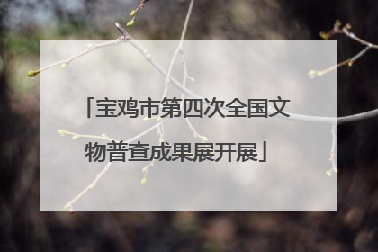 宝鸡市第四次全国文物普查成果展开展