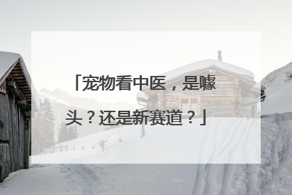 宠物看中医，是噱头？还是新赛道？
