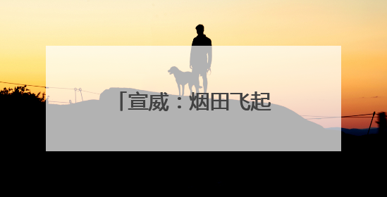 宣威：烟田飞起无人机 筑起绿色“防火墙”