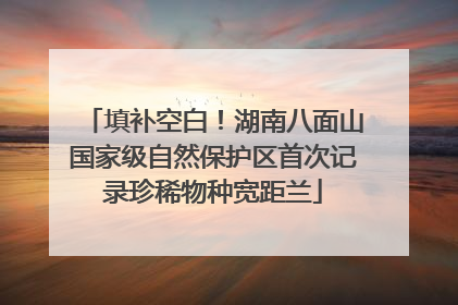 填补空白！湖南八面山国家级自然保护区首次记录珍稀物种宽距兰