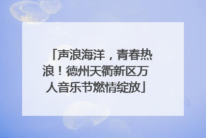声浪海洋，青春热浪！德州天衢新区万人音乐节燃情绽放