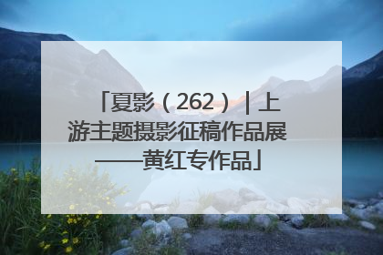 夏影（262）｜上游主题摄影征稿作品展——黄红专作品