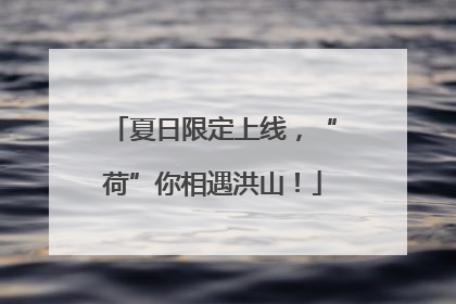 夏日限定上线，“荷”你相遇洪山！