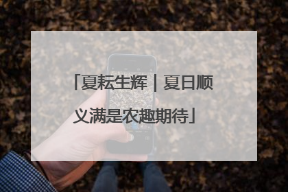 夏耘生辉｜夏日顺义满是农趣期待