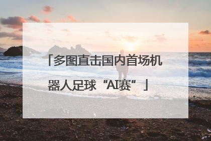 多图直击国内首场机器人足球“AI赛”