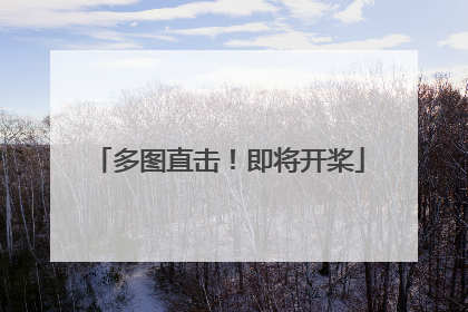 多图直击！即将开桨