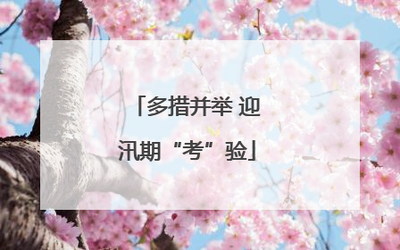 多措并举 迎汛期“考”验