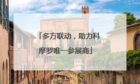 多方联动，助力科摩罗唯一参展商