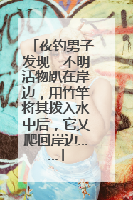 夜钓男子发现一不明活物趴在岸边，用竹竿将其拨入水中后，它又爬回岸边……