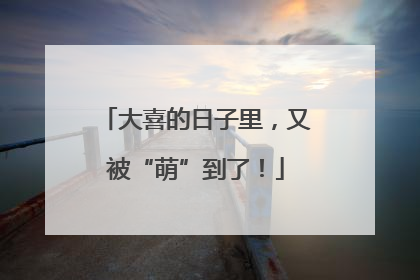 大喜的日子里，又被“萌”到了！
