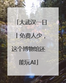 大武汉一日丨免费人少，这个博物馆还能玩AI