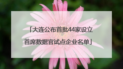 大连公布首批44家设立首席数据官试点企业名单