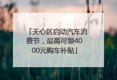 天心区启动汽车消费节，最高可领4000元购车补贴