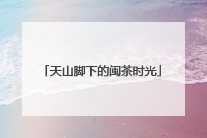 天山脚下的闽茶时光