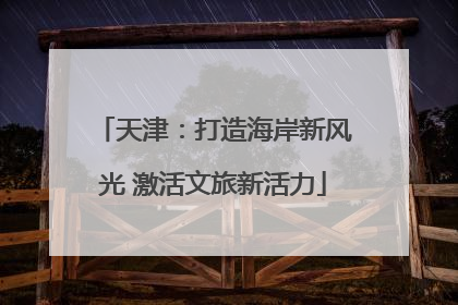 天津：打造海岸新风光 激活文旅新活力