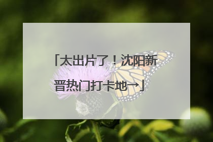 太出片了！沈阳新晋热门打卡地→