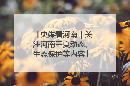 央媒看河南｜关注河南三夏动态、生态保护等内容
